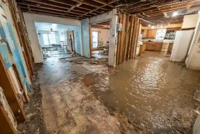 WDR PRO’s - Water Damage Restoration Service